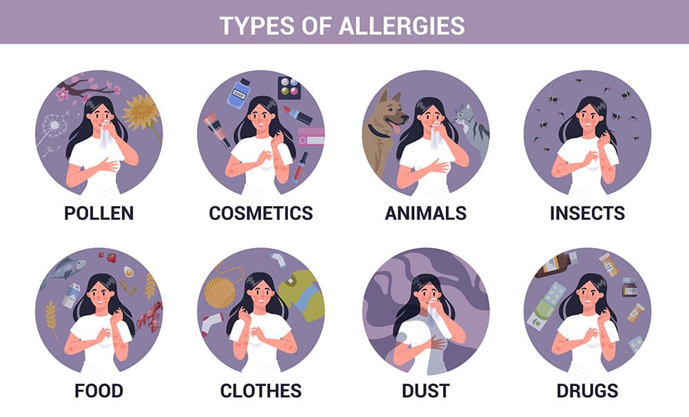 Visual overview of allergy triggers that can contribute to allergic rhinitis symptoms